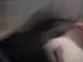 videos de MOV00002
