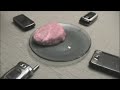  telephone pop corn popcorn mobile cell incredible hoax real proven brain explode steak portable fake phone cellphone
