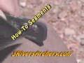 3Rivers Archery Javelina Bowhunting DVD