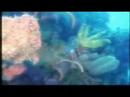 QUINTANA ROO POR BEBU SILVETTI