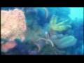QUINTANA ROO POR BEBU SILVETTI