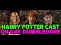Harry Potter stars react to Dumbledore gay twist