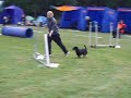 Pigge agility Pigge agility