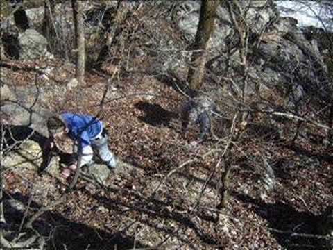 Albert Pike Camping 2007