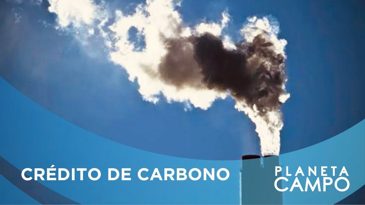 Na Amazônia, Esforço Para Proteger Florestas Gera Renda Aos Produtores