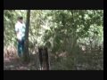 CoolTravel Forest - Walk in an 8 year old rainforest by Anouk Pappers and Maarten Schäfer