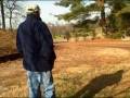 videos de Tree hunt part 8