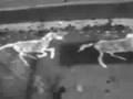 Eadweard Muybridge Test one