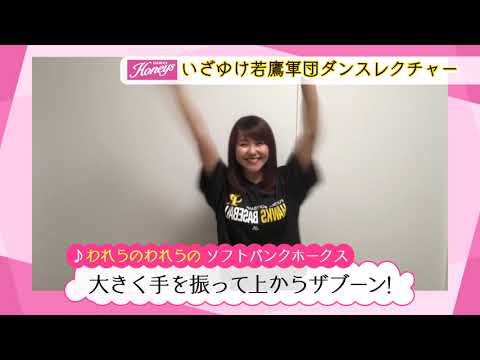 YouTube動画