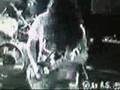 Brutal Truth - Birth of Ignorance & Strench of Prophet[live] 
