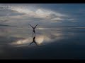 Musica para relaxamento Musica para relaxamento