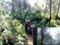 bttxiulet salto crusaito