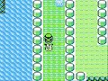 coge a mew en la ciudad 2