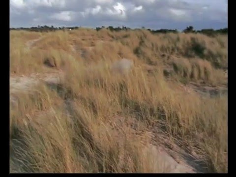 Baja B5 on Nairn Beach Slow Mo