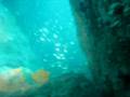 videos de TAS - Izumo Taisha - Hinomisaki Underwather little Cave