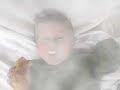 Bed Bugs Video Bed Bugs Video