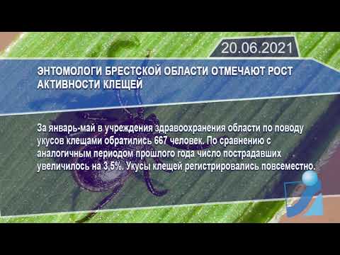 Новостная лента Телеканала Интекс 20.06.21.