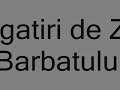 Unguru' Bulan - Pregatiri De Ziua Barbatului