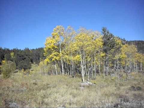 Frazer Meadow, Golden Gate Canyon State Park, Colorado