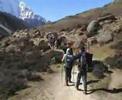 video Obalni Alpinisticni...