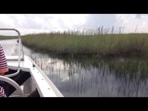 Everglades national park Florida USA