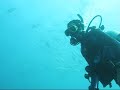 Diving with Ramon Statie on Bonaire