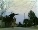emanuele\