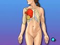 PreOp Patient Education : Mastectomy Radical Surgery