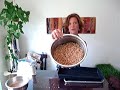Wheat Grass Part 1