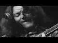 Rory Gallagher - Out on a western plain (live)
