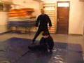 Sombor ninja so1.1.3 ichimonji no kamae musha dori