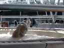 Team Betina de la Croix: Water Ballet