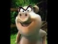 Der beste Crazy-Schweine Wecker ! Supergut - NEU Der beste Crazy-Schweine Wecker ! Supergut - NEU