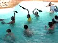 Cueca na M�o (1� FICA Direito UEL)