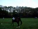 patty dressuur/springen