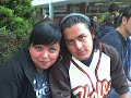amigos del icel tlalpan-coyoacan