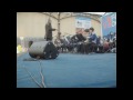 chamaleon the jazz band