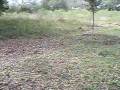 videos de Toribio Rodriguez Ojo de Agua y Represa en Terreeno