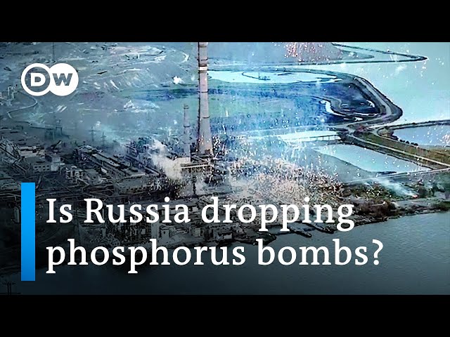 bild, förhandsgranskning