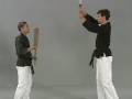 Ieku Handling, Exercises, and Stances