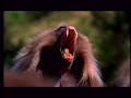 amharic national  geography  of africa 2 of 10