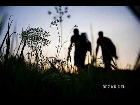 Světla - SVĚTLA - BEZ KŘÍDEL (2017)