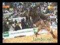 Voir la vid&eacute;o