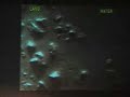 NASA / Mars Coverup - Life on Mars?