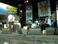 Elliott Brood - The Bridge