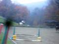 videos de obstacle 15 novembre