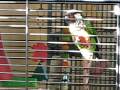 Matt's conure doing the toe grab two step