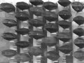 mussel feeding behavior is recorded with non-invasive low-light video under red lights and correlated with habitat health. Tiny amounts of contaminants, such as less than 5 PPB chlorine, would cause the mussels to shut. US Patent 6,119,630