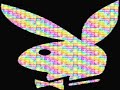 DJ Alligator Project - Angel