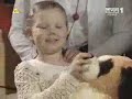 Macius w wesolym miasteczku - ivo